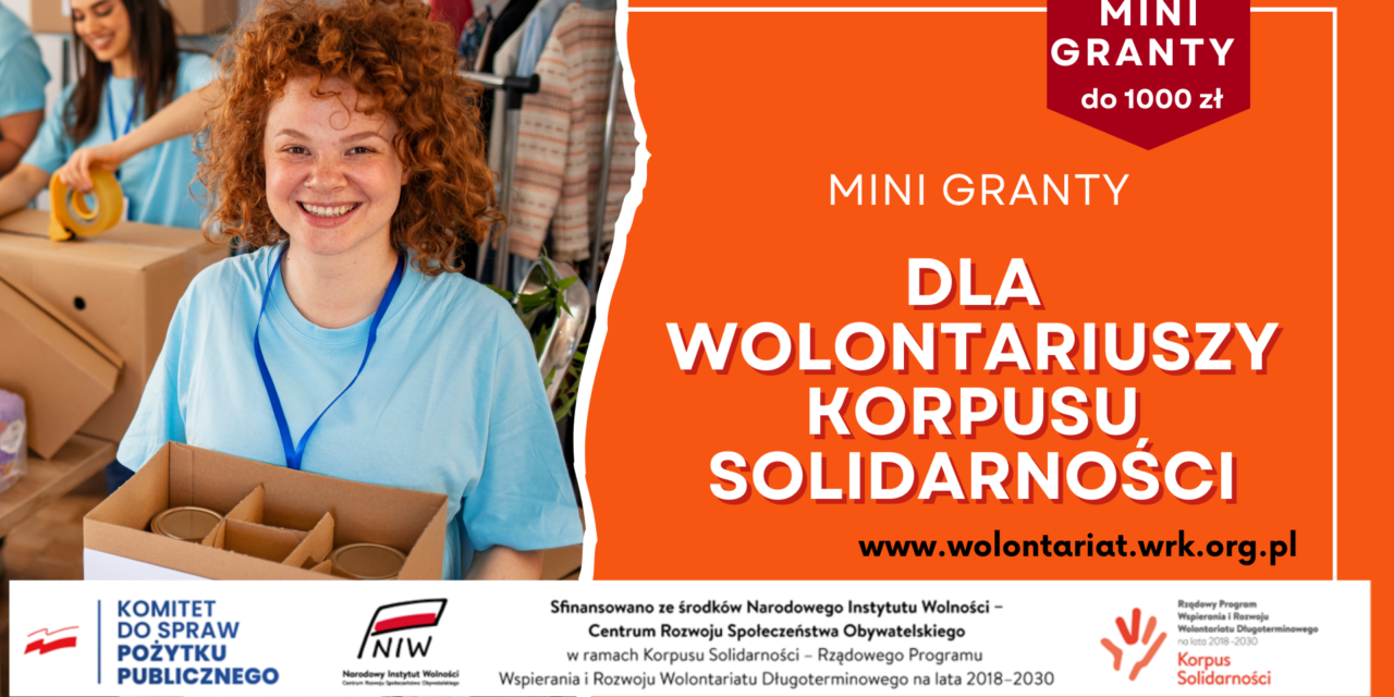 Minigranty dla wielkopolskich wolontariuszy